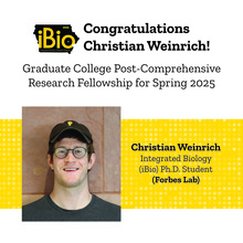 Photo and Graphic of Christian Weinrich 