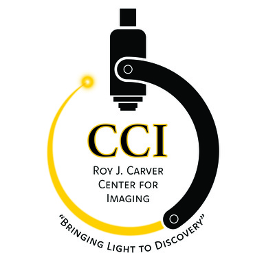 Picture of the Carver Center for Imaging Logo