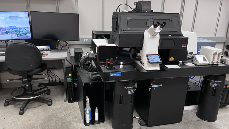 Photo of STELLARIS 8