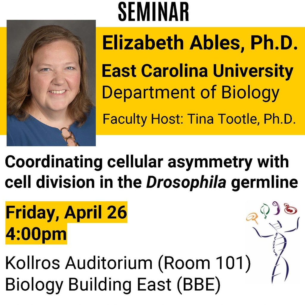 Biology Seminar: "Coordinating cellular asymmetry with cell division in the Drosophila germline" promotional image
