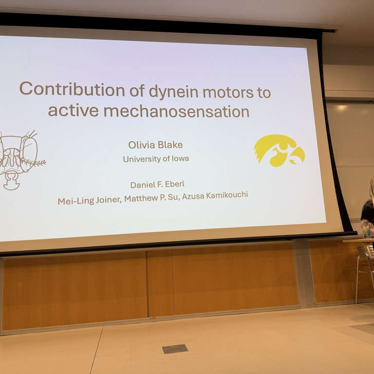Photo of Olivia Blake giving a presentation