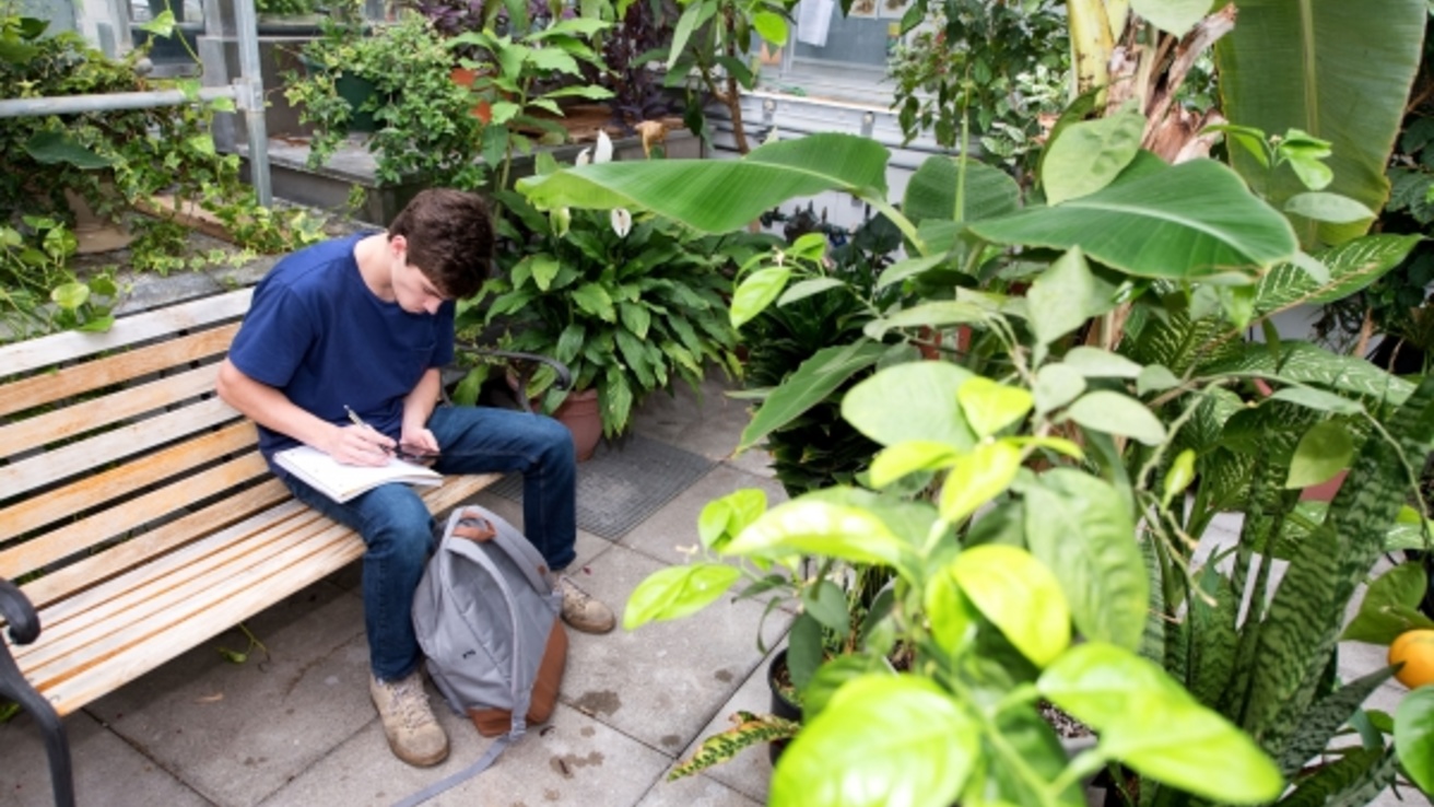 Student in Greenhouse